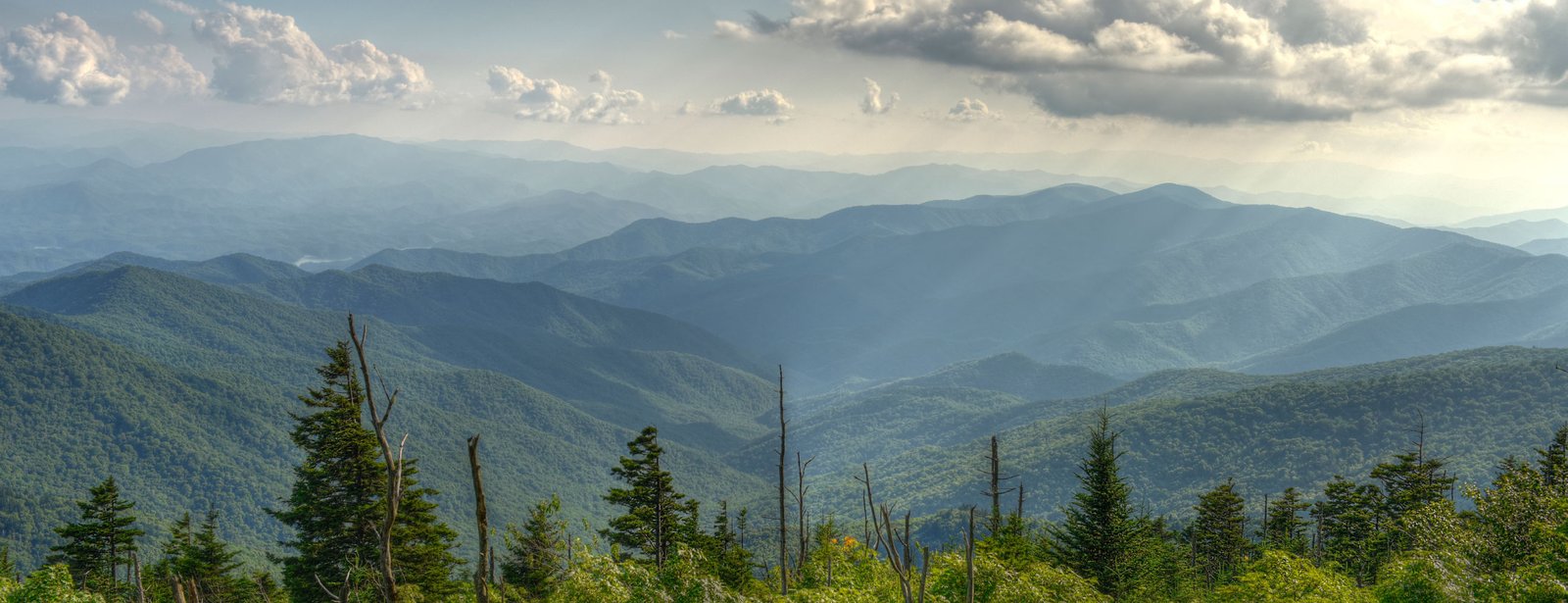 Éditions de l'Iroko