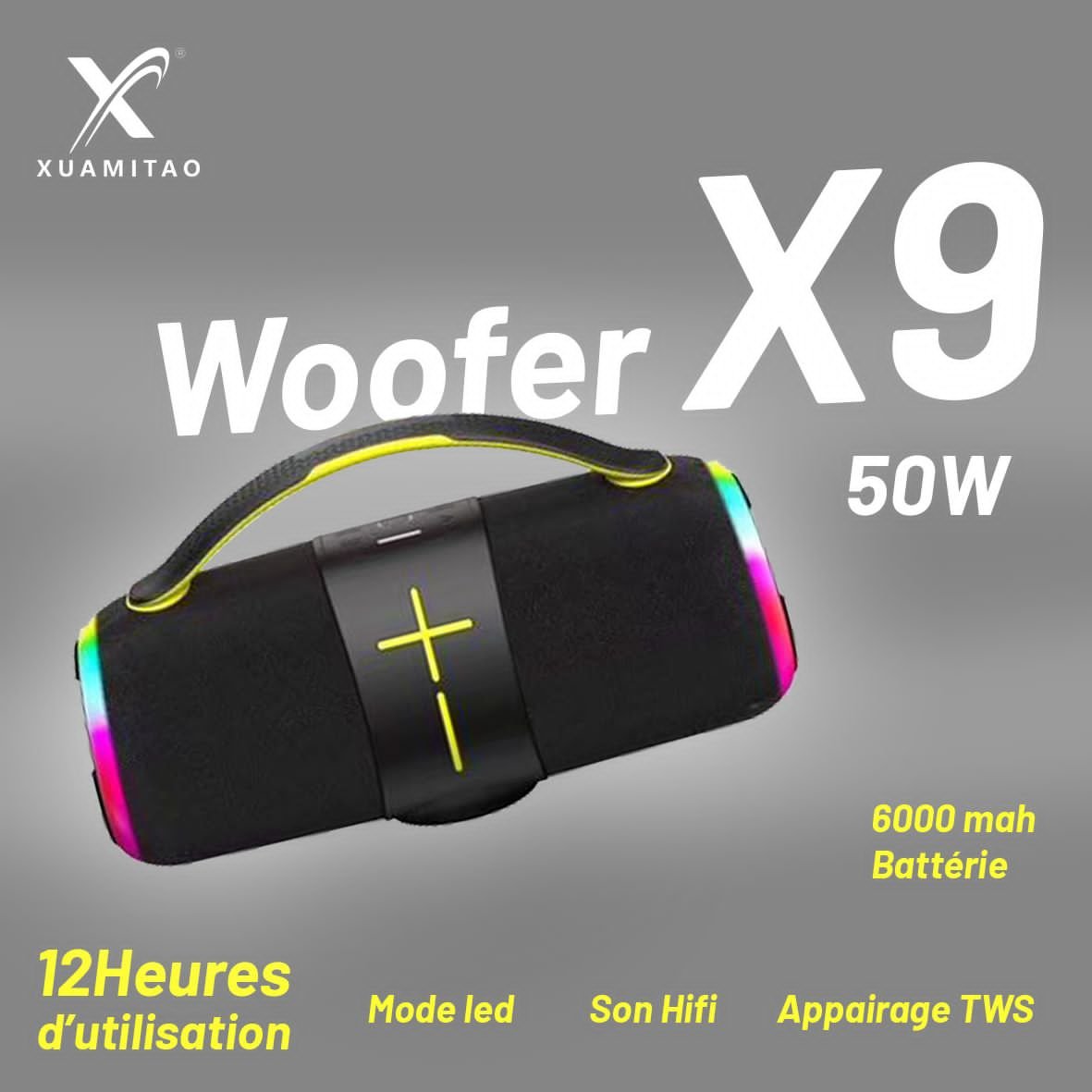 Enceinte portable woofer x9